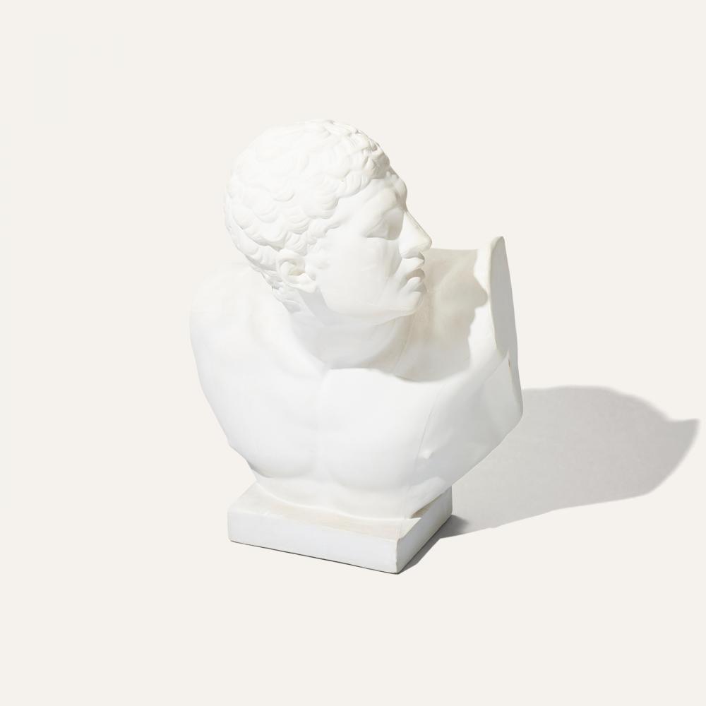 Borghese fighter bust plaster
