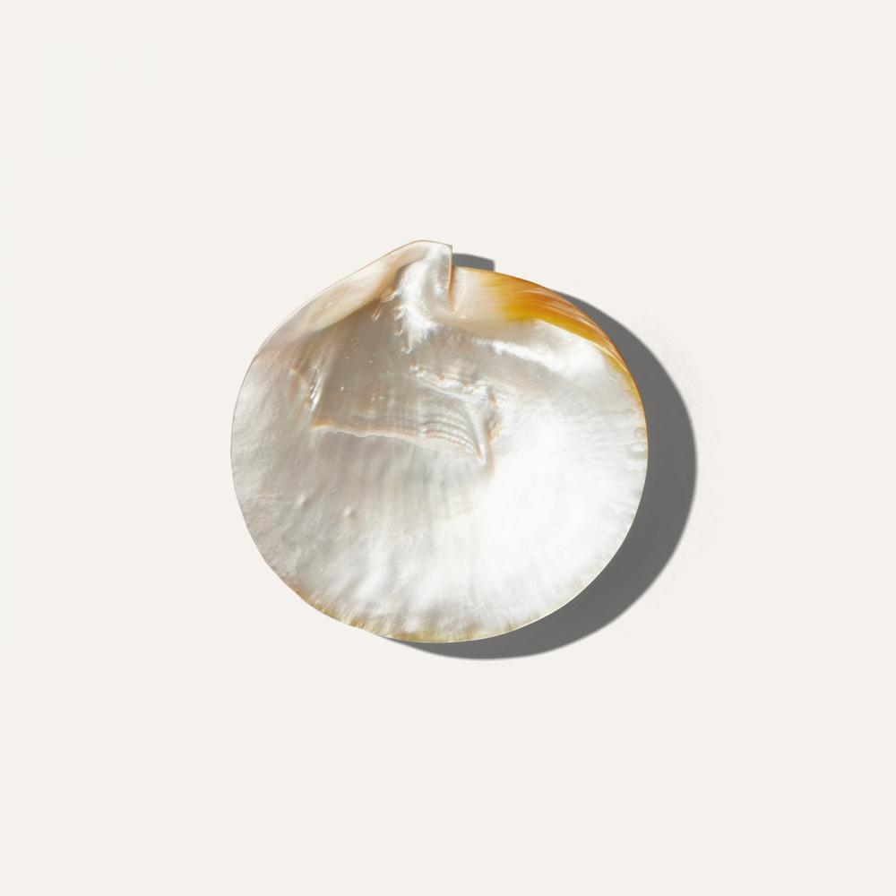 pearl shell plate