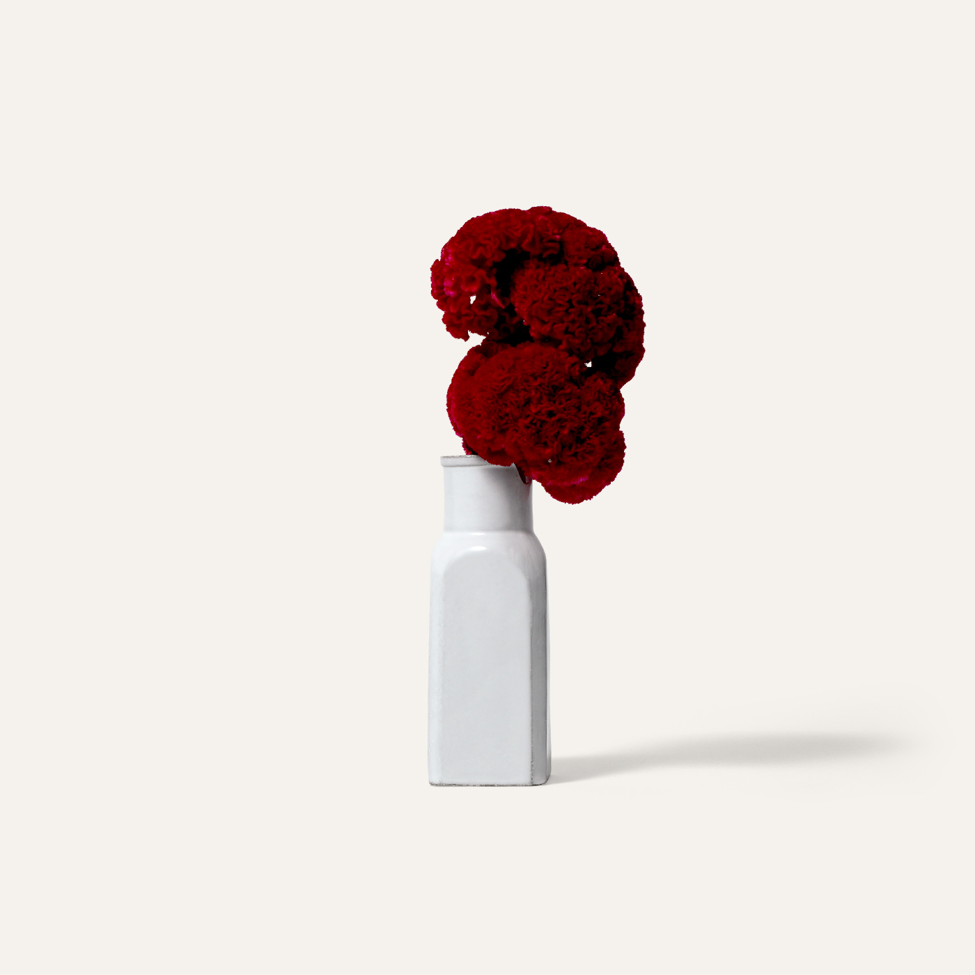 Revolution small vase