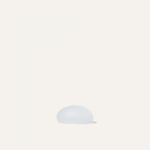 colorless matte object