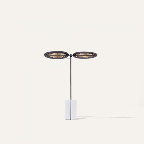 sage lamp