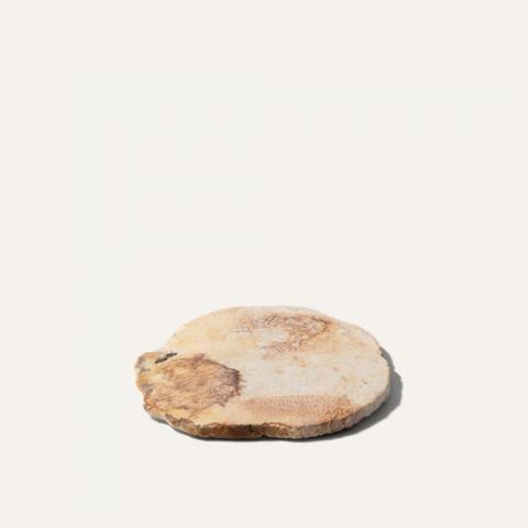 beehive coaster a