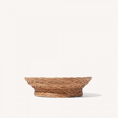 palm tray