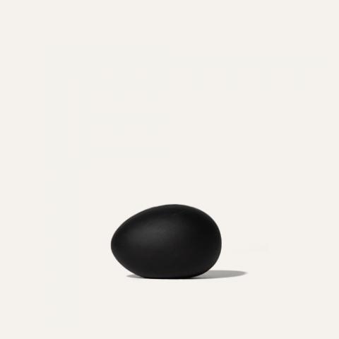 egg object