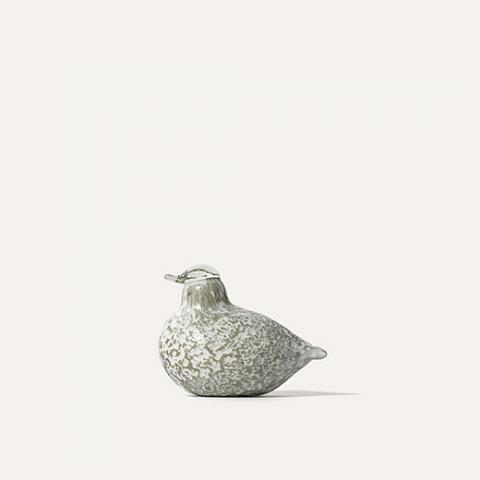 grass bird object S