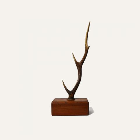 Horn objest