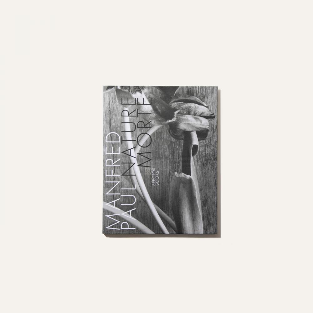 Nature morte 1983-1985