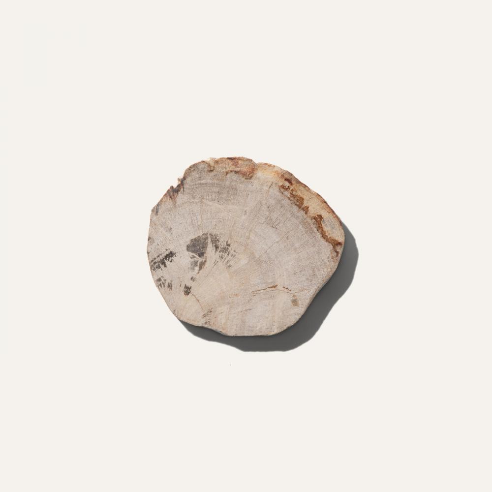 wood coaster b