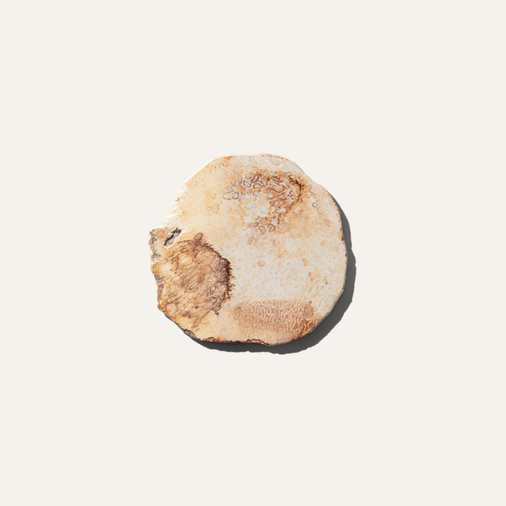 beehive coaster a