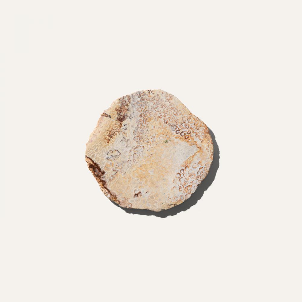 beehive coaster b