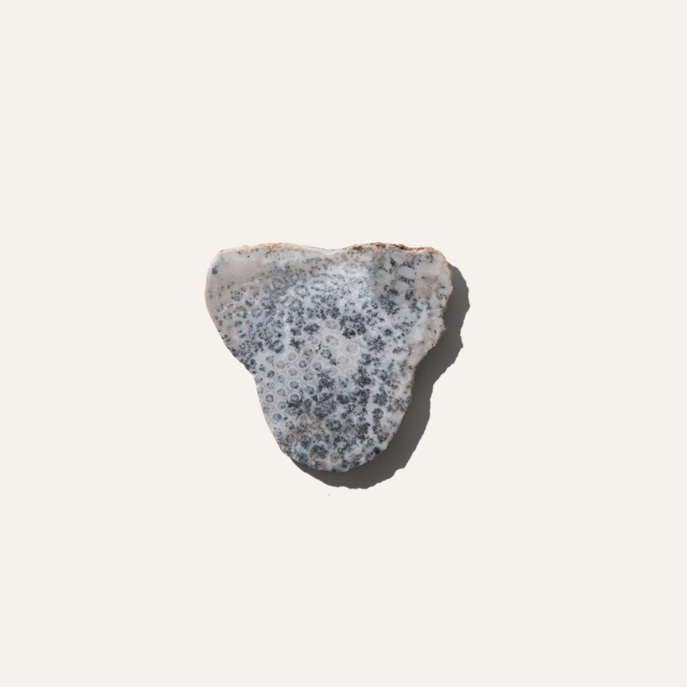 coral coaster