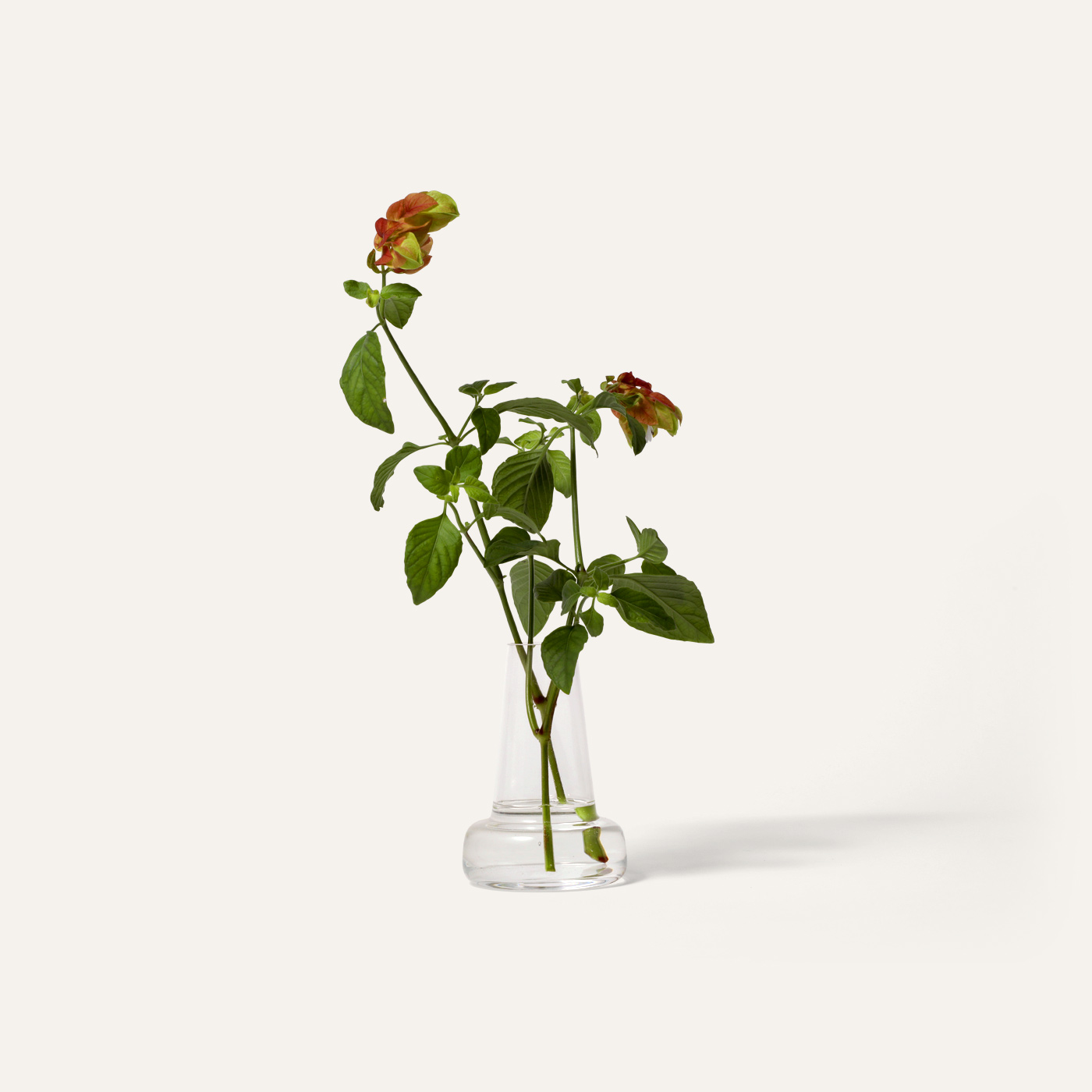 Flora long vase S
