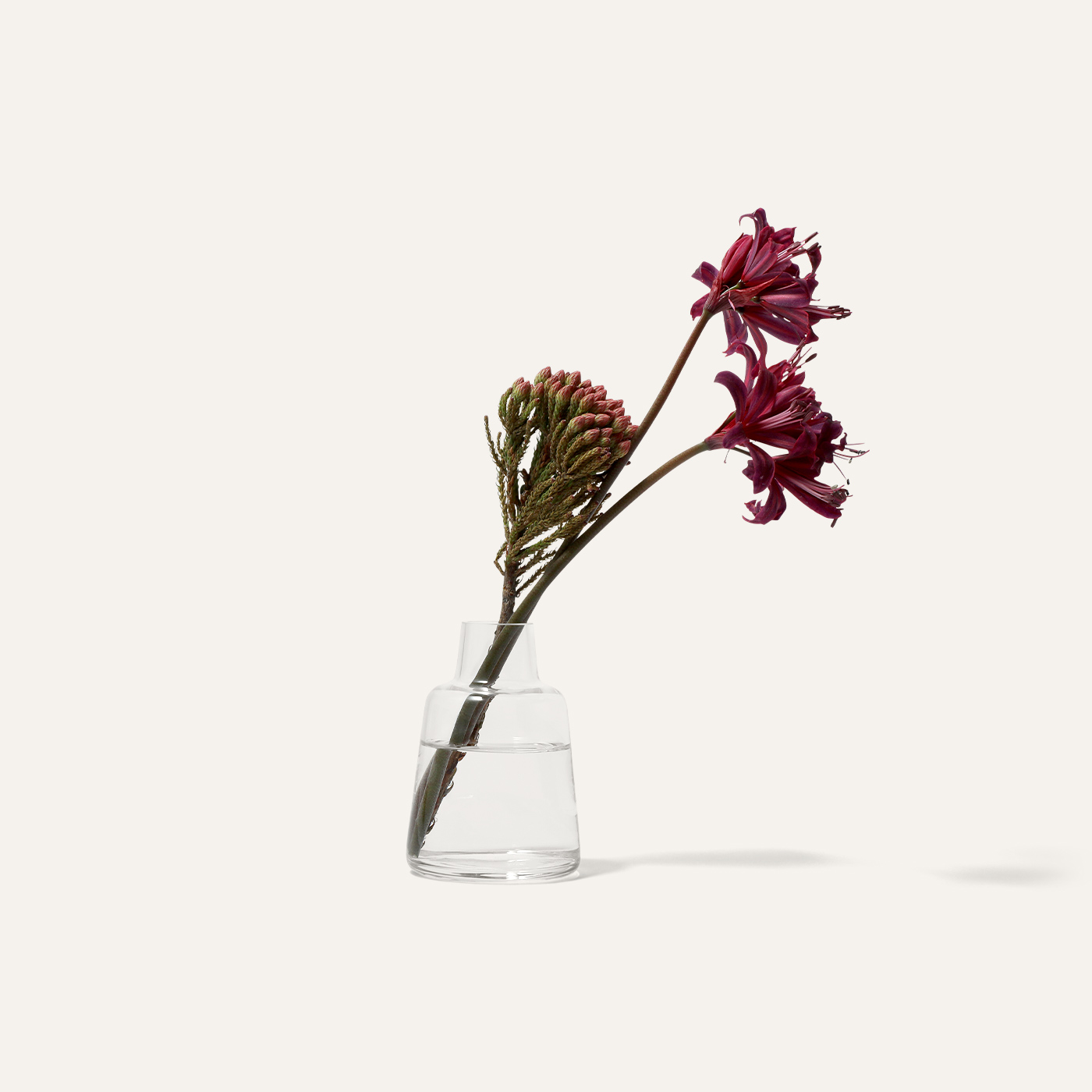 Flora short vase